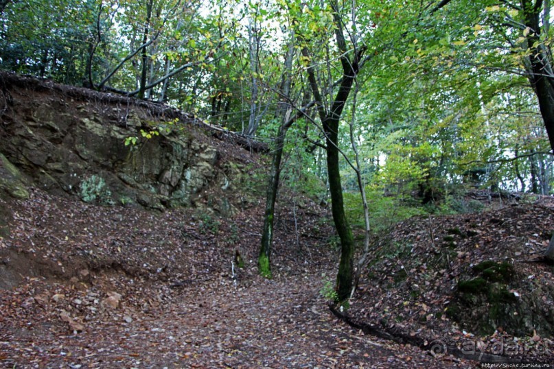 Лесистые склоны горы святого Джорджио