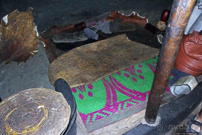 В Клаве живут красавицы-омхара