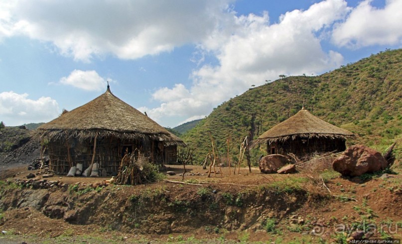 В Клаве живут красавицы-омхара