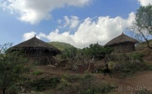 В Клаве живут красавицы-омхара