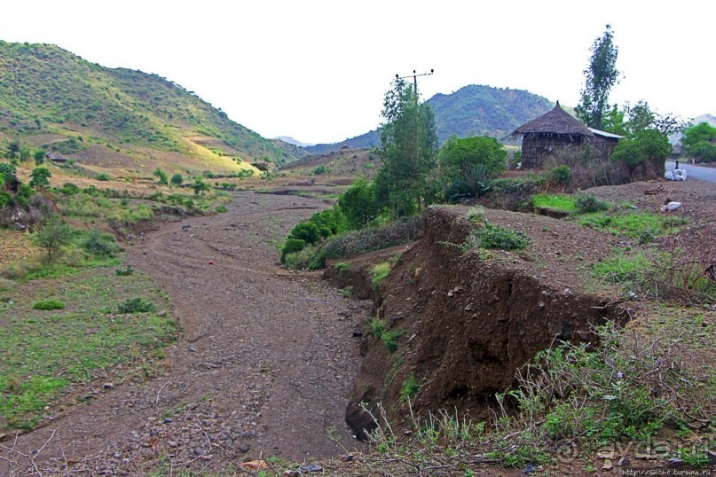 В Клаве живут красавицы-омхара