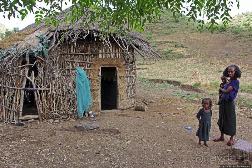 В Клаве живут красавицы-омхара