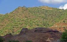 В Клаве живут красавицы-омхара