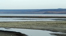Озеро Лак Аббе: рассвет, горячие источники, фламинго