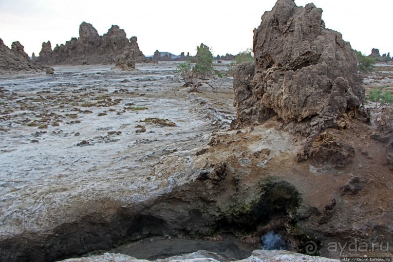 Озеро Лак Аббе: рассвет, горячие источники, фламинго