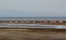 Озеро Лак Аббе: рассвет, горячие источники, фламинго