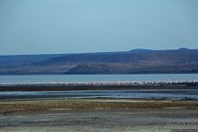 Озеро Лак Аббе: рассвет, горячие источники, фламинго