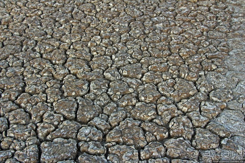 Озеро Лак Аббе: рассвет, горячие источники, фламинго