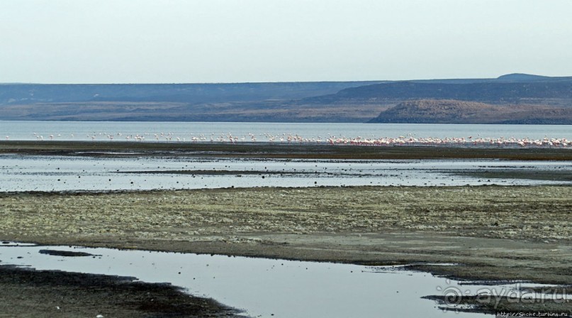 Озеро Лак Аббе: рассвет, горячие источники, фламинго