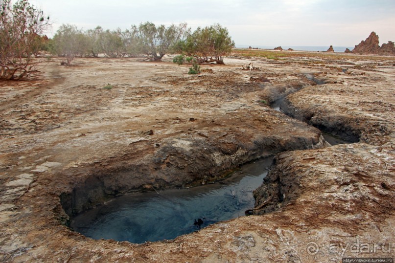Озеро Лак Аббе: рассвет, горячие источники, фламинго