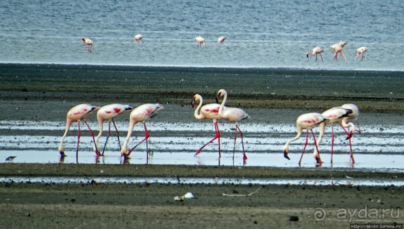 фото Джибути