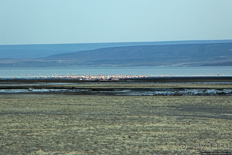 Озеро Лак Аббе: рассвет, горячие источники, фламинго