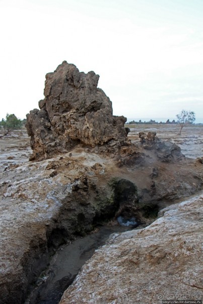 Озеро Лак Аббе: рассвет, горячие источники, фламинго