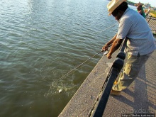 Набережная реки Moumee — и прогулка, и рыбалка и ...Майами