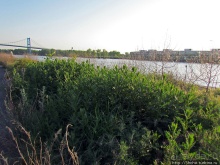 Набережная реки Moumee — и прогулка, и рыбалка и ...Майами