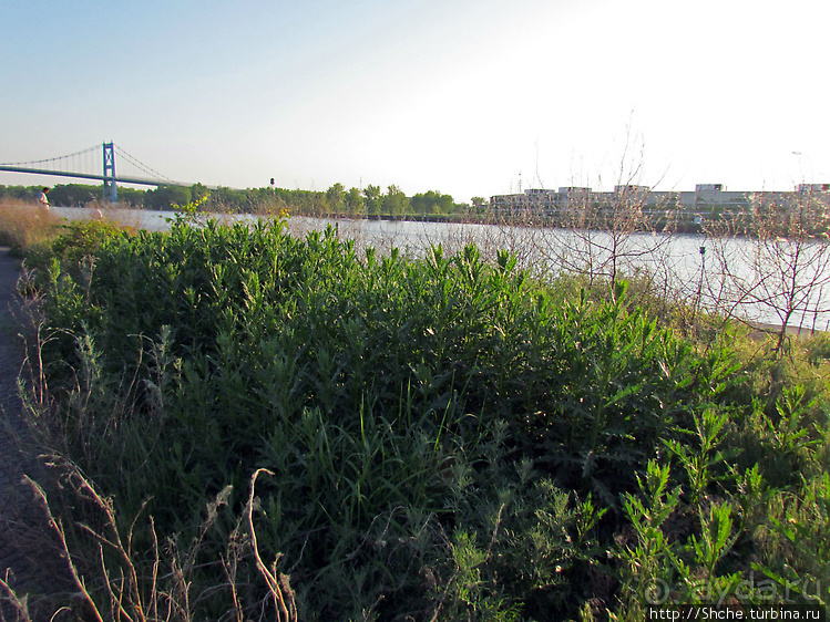 Набережная реки Moumee — и прогулка, и рыбалка и ...Майами
