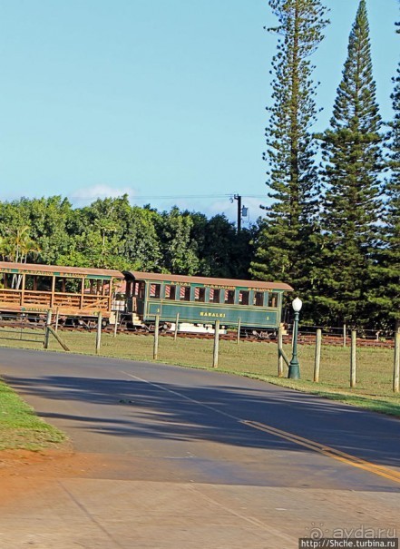 Картинки острова Кауаи. Автоприложение