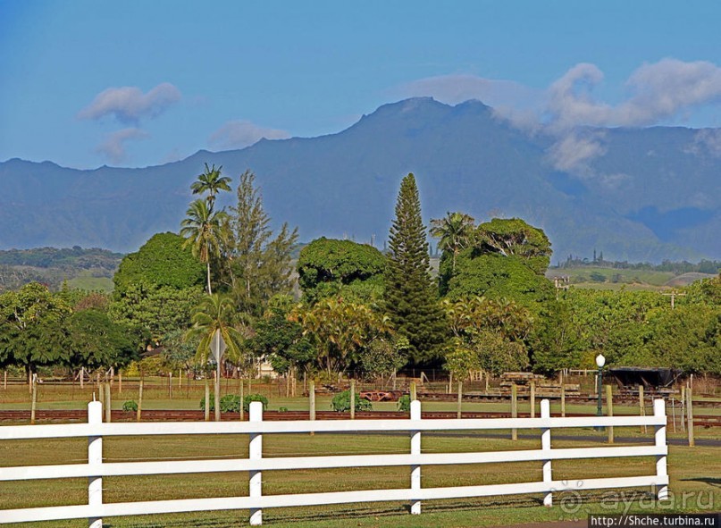 Картинки острова Кауаи. Автоприложение