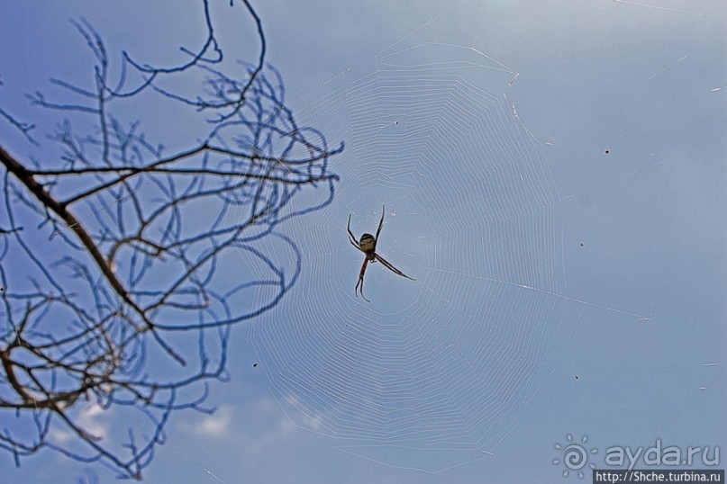 Картинки острова Кауаи. Автоприложение