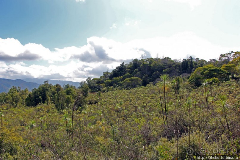 Картинки острова Кауаи. Автоприложение