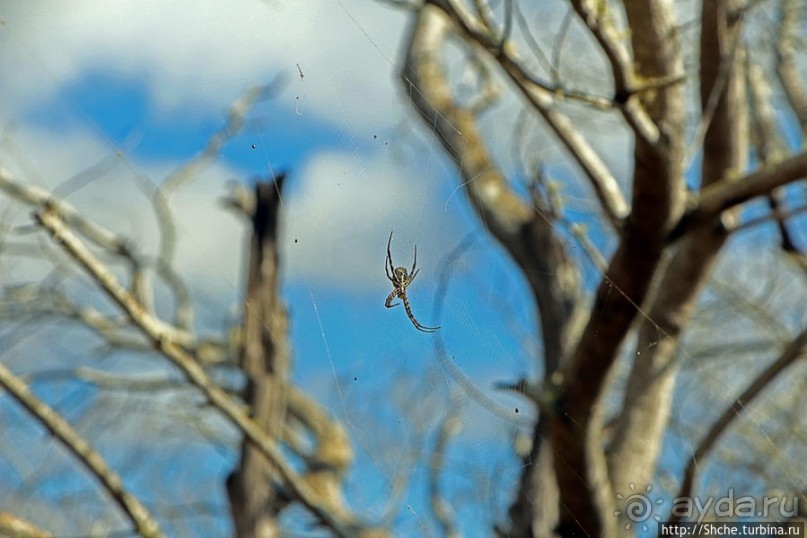 Картинки острова Кауаи. Автоприложение