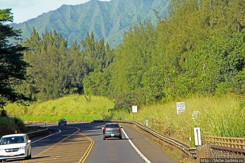 Картинки острова Кауаи. Автоприложение