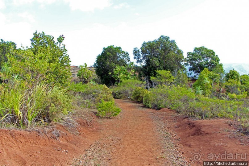 Картинки острова Кауаи. Автоприложение