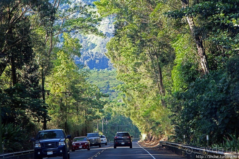 Картинки острова Кауаи. Автоприложение