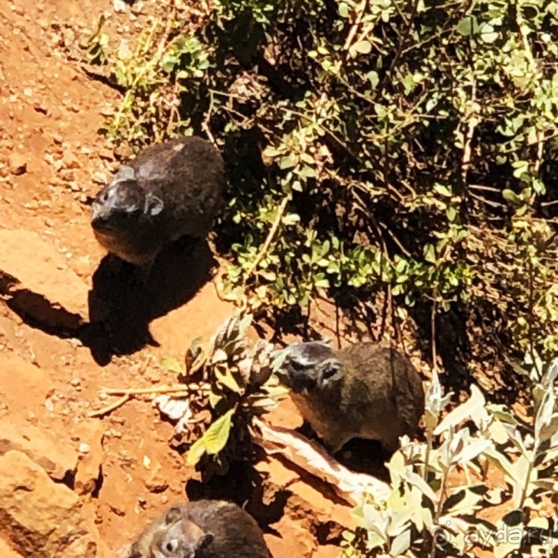 Во истину велика "Великая рифтовая долина" 