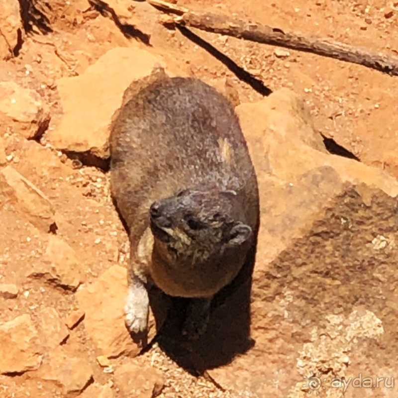 Во истину велика "Великая рифтовая долина" 