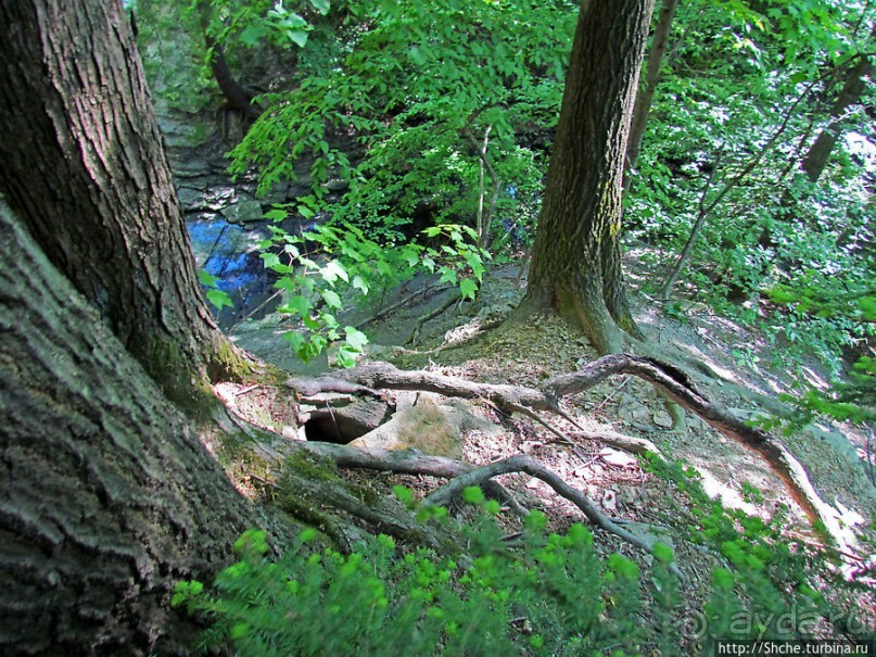 "Buttermilk falls" и пешехоный маршрут вдоль ручья
