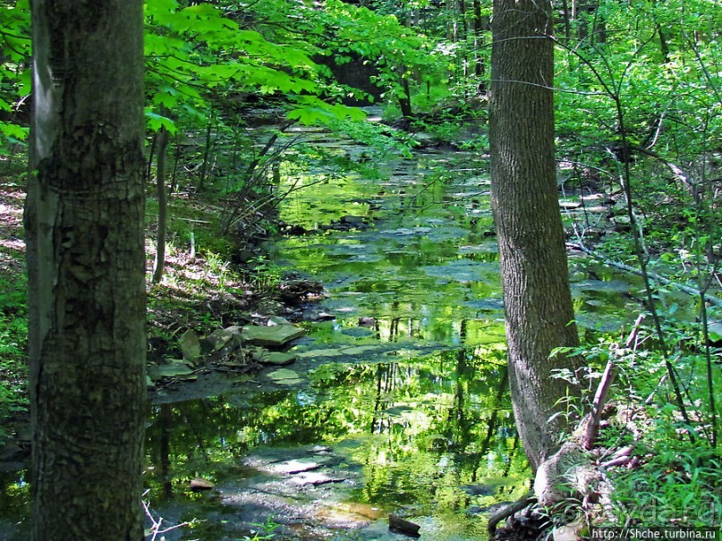 "Buttermilk falls" и пешехоный маршрут вдоль ручья