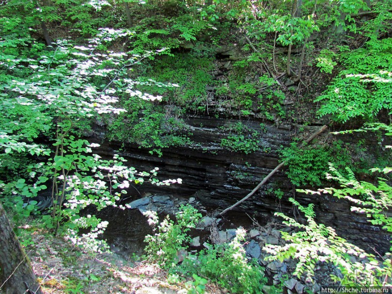 "Buttermilk falls" и пешехоный маршрут вдоль ручья