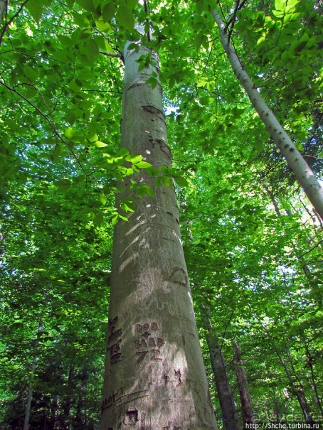 "Buttermilk falls" и пешехоный маршрут вдоль ручья