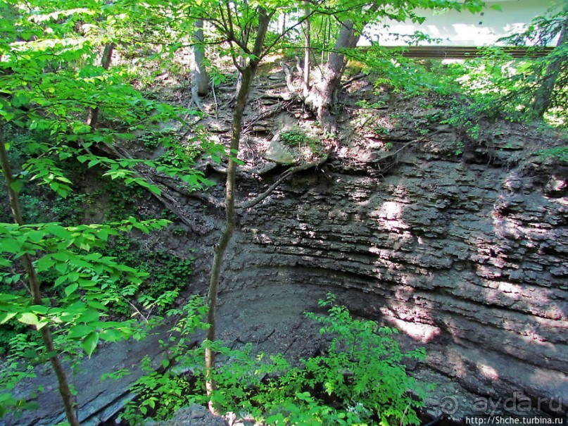 "Buttermilk falls" и пешехоный маршрут вдоль ручья