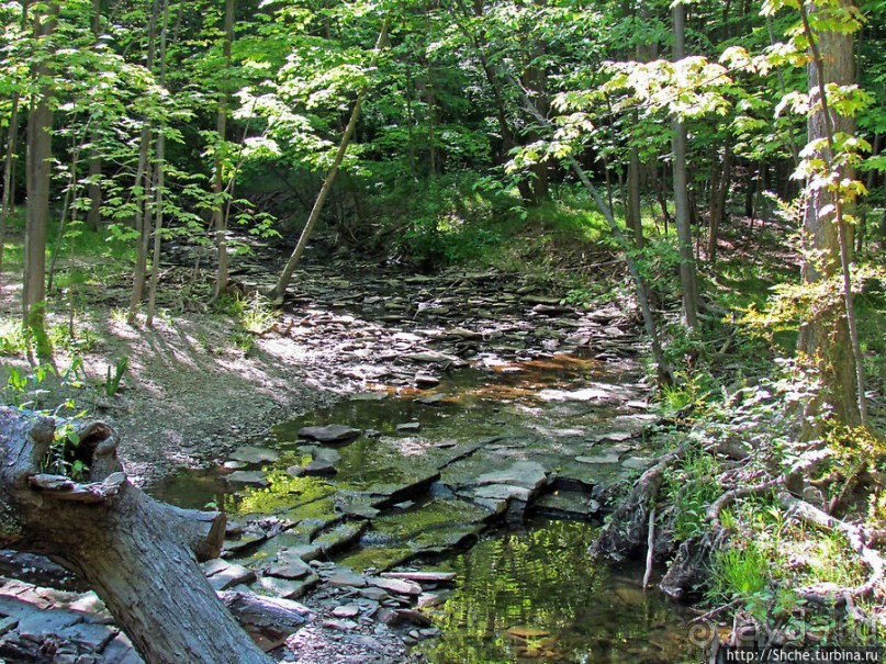 "Buttermilk falls" и пешехоный маршрут вдоль ручья