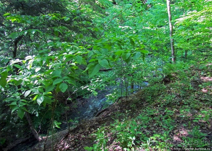 "Buttermilk falls" и пешехоный маршрут вдоль ручья