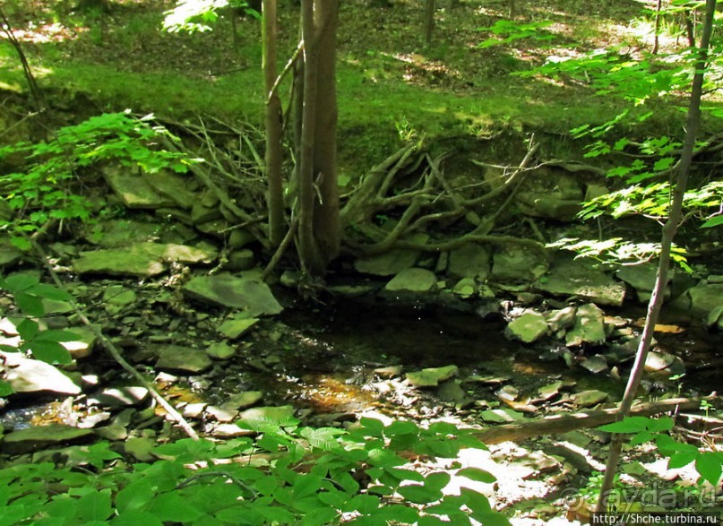"Buttermilk falls" и пешехоный маршрут вдоль ручья