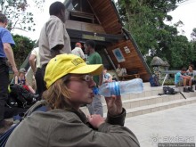 Дождевой лес Килиманджаро. Первые 10 км восхождения. Mandara