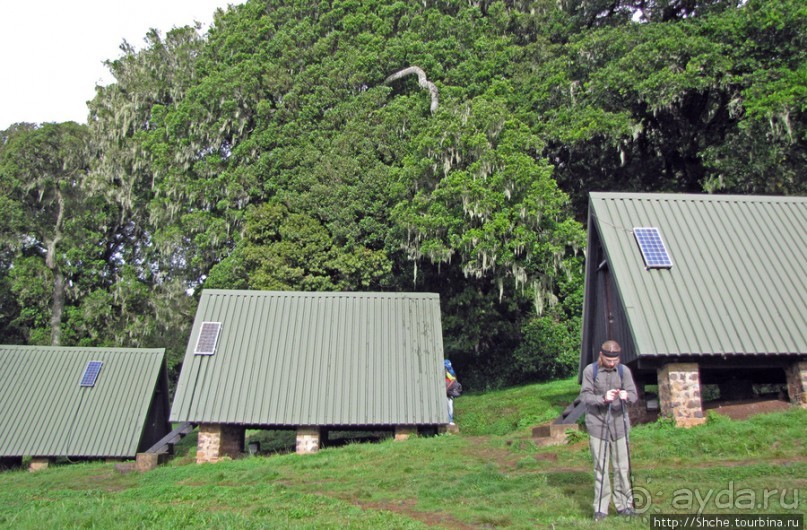 Дождевой лес Килиманджаро. Первые 10 км восхождения. Mandara