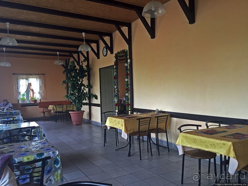 Альбом отзыва "Сытные обеды по одному евро"