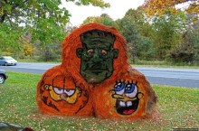 В гостях у Радуги. Оранжевое настроение