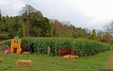 В гостях у Радуги. Оранжевое настроение