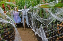 В гостях у Радуги. Оранжевое настроение