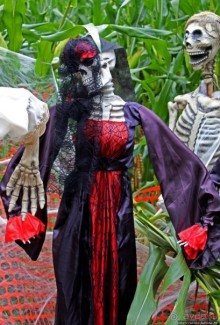 В гостях у Радуги. Оранжевое настроение