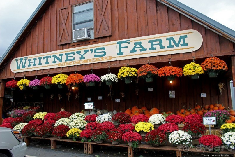 В гостях у Радуги. Оранжевое настроение