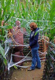 В гостях у Радуги. Оранжевое настроение
