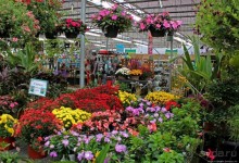 В гостях у Радуги. Оранжевое настроение