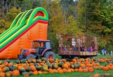 В гостях у Радуги. Оранжевое настроение