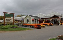 В гостях у Радуги. Оранжевое настроение